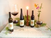 Blauer Bernburger Wein Jahrgang 2005